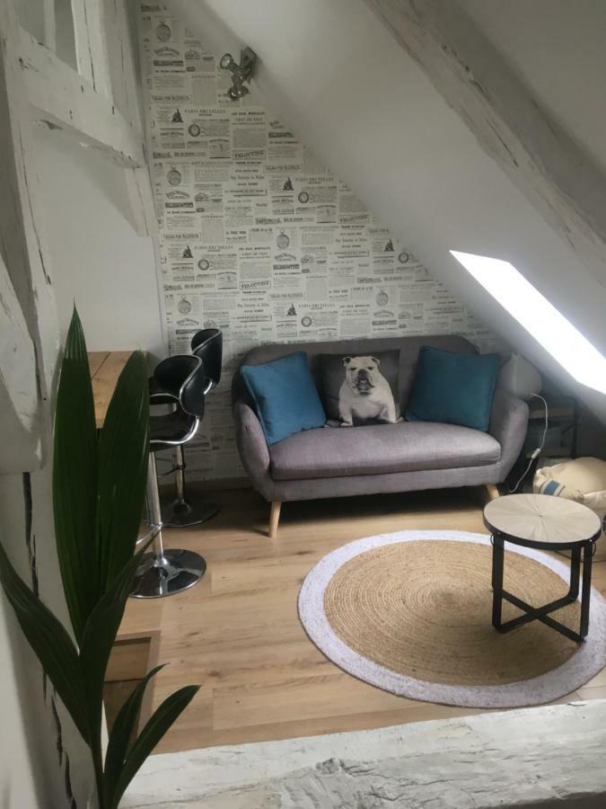 Appartements Atypiques Centre Historique Dijon Bagian luar foto