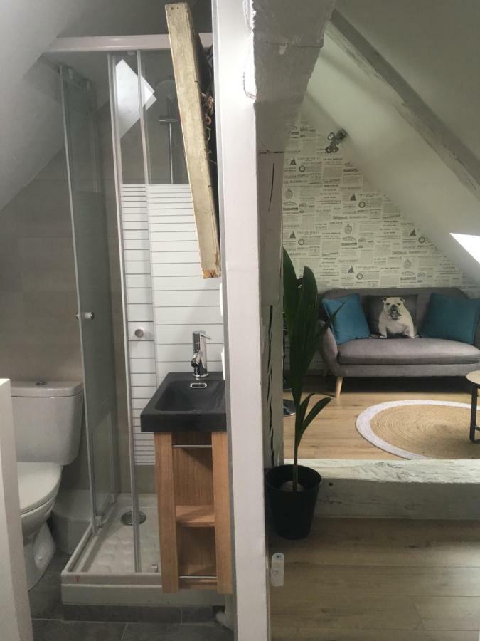 Appartements Atypiques Centre Historique Dijon Bagian luar foto